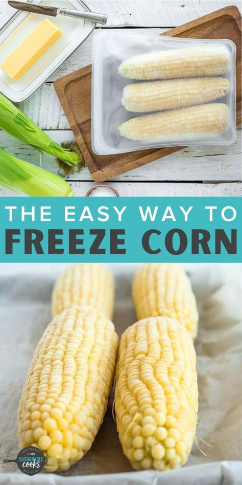 Freezing corn on the cob is the easiest way to preserve the delicious taste of summer. Learn how to freeze corn on the cob for fast healthy side dishes that you can enjoy all year long. Vacuum Seal Corn On The Cob, Blanching Corn, Freezing Corn On The Cob, Best Corn On The Cob, Frozen Corn Recipes, Freezing Fresh Corn, Freezing Veggies, Freezing Food Guide, Freezing Corn