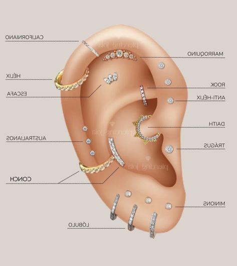 Ear Piercings Labeled, Ear Piercing Ideas Chart Names, Ear Peirce Chart, Types Of Ear Piercings Names, Earings Piercings Names, Piercings Ear Chart, Ear Piercing Map, Ear Piercing Ideas Chart, Ear Piercings Names