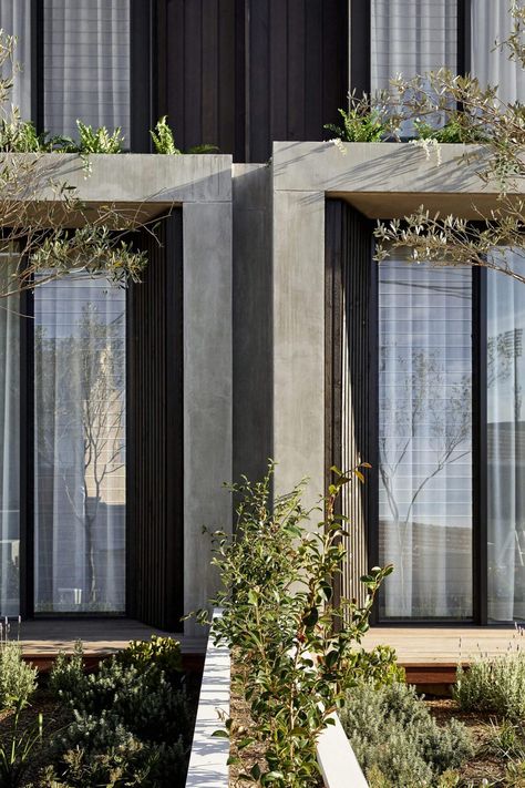 Dispersing Light By Mxm Design Lilyfield Sydney Australia Image 06 Arthur And Mary, Garage And Front Door, Duplex Exterior, Facade Structure, In House Plants, Farm Villa, Landscape House, Residential Landscaping, Duplex Design