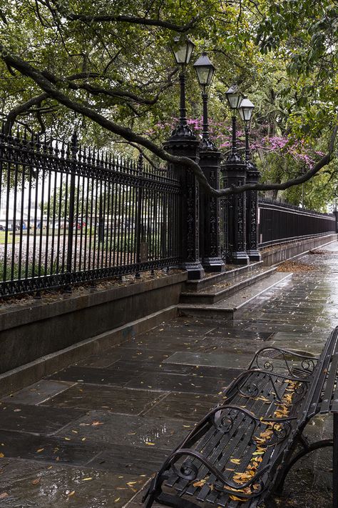 City Scenery Wallpaper, New Orleans Aesthetic Dark, After Rain Aesthetic, Pretty Woman Aesthetic, Jackson Square New Orleans, Square Aesthetic, City Scenery, Wallpaper Night, Friend Vacation