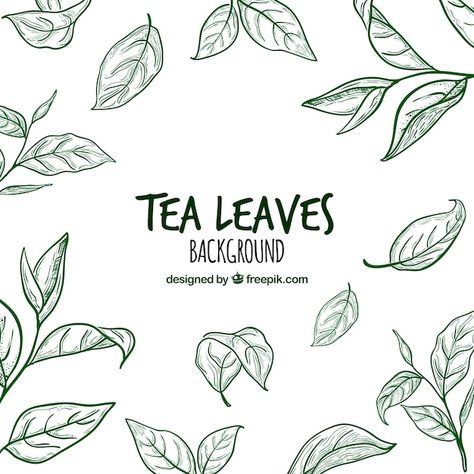 Tea Leaves Illustration, Leave Pattern, Leaf Projects, Tea Packaging Design, Leaves Background, Leaves Illustration, Leaf Illustration, Plant Vector, Leaflet Design