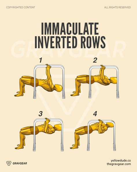 Inverted Rows Workout, Calisthenic Workout, Calisthenics Workout For Beginners, Inverted Row, Morning Workout Routine, Men Skin Care Routine, Suspension Trainer, Best Gym Workout, Workouts For Men