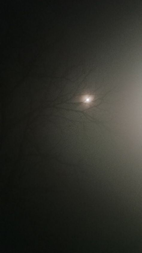 Foggy Aesthetic Night, Foggy Nights Aesthetic, Foggie Raw, Night Fog Aesthetic, Fogy Night, Foggy Night Aesthetic, Fog Images, Foggy Night, Bright Moon