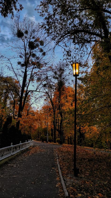 Autumn park, evening Autumn Scenery, Fall Pictures, Autumn Cozy, Fall Wallpaper, Autumn Aesthetic, City Aesthetic, Landscape Wallpaper, Autumn Photography, Magical Places