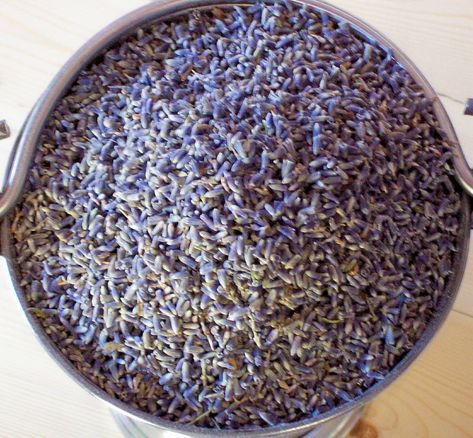 cooking with lavender flower buds | Dried lavender in bulk by Lavender Fanatic Specialty lavender buds. Dried Lavender Wedding, Natural Hair Remedies, Essential Oil Hair Growth, Natural Hair Growth Remedies, Thick Hair Remedies, Homemade Essential Oils, Hair Growth Foods, Lavender Eye Pillows, Hair Remedies For Growth