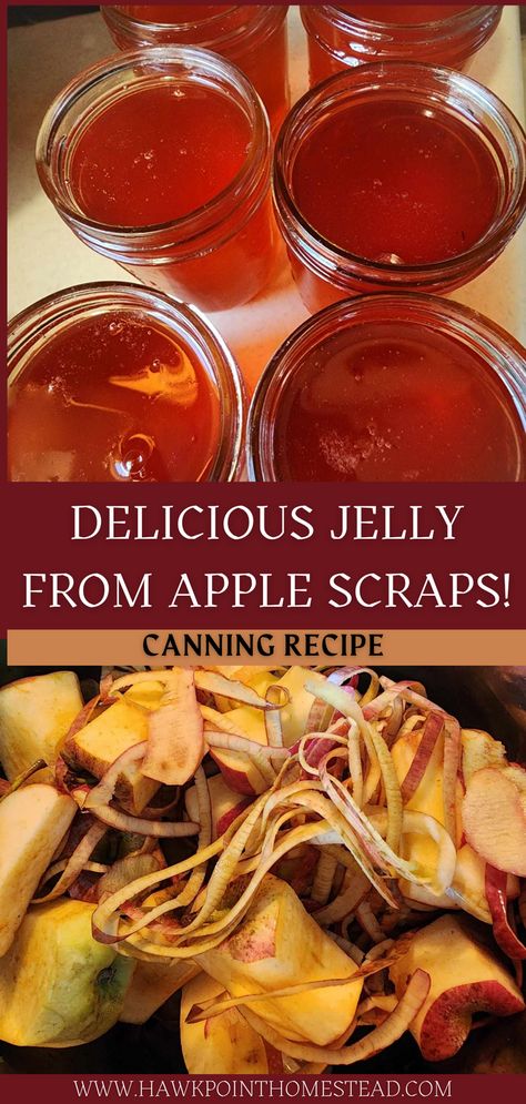 This apple scrap jelly recipe for canning is a delicious jelly recipe made from the scraps, apple peels and apple cores, that are left when preparing apples for other recipes, such as apple pie filling. It is also called apple peel jelly. The jelly has a great flavor and turns out a beautiful color!  Homemade jellies are so great to give as thoughtful gifts. Uses For Apple Peels, Scrape Apple Jelly, What Can I Do With Apple Peels, Apple Peeling Jelly, Using Apple Peels And Cores, Apple Peel Jelly With Pectin, Apple Peel Jelly Recipe Canning, How To Make Apple Jelly From Apple Peels, Canning Apple Cider Vinegar