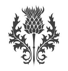 Thistle Tattoo Black, Scottish Thistle Tattoo, Thistle Tattoo, Thistles Art, Rose Tattoos For Men, Small House Decorating, Thistle Flower, Bee Tattoo, Scottish Thistle