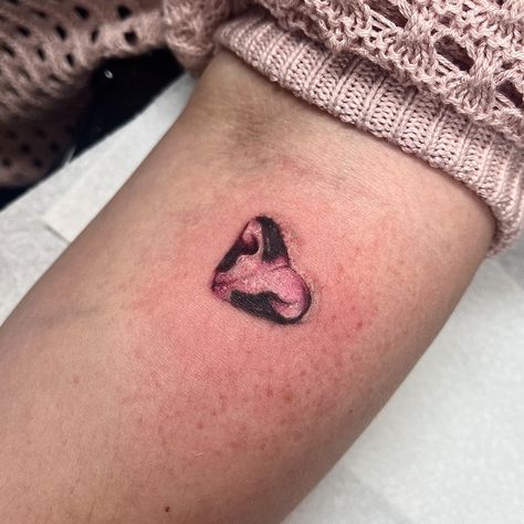 A teeny custom kitty nose as a memorial 🐈‍⬛🩷 It was a pleasure to do this small realism nose for my client’s cat who crossed the rainbow bridge 🌈✨ I loved using colour as it’s something I don’t do very often! -I am taking bookings for January💌- #colourrealism #cattattoo #customtattoo #southamptontattoo #realismtattoo #microrealism Pet Memorial Tattoo Nose Print, Cat Nose Tattoo, Cat Tattoo Memorial, Cat Memorial Tattoo, Nose Tattoo, Pet Memorial Tattoo, Cat Nose, Memorial Tattoo, Cat Memorial