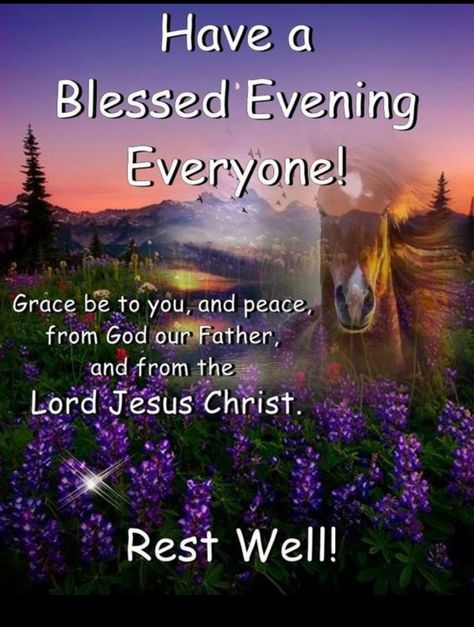 Evening Blessings, Christian Good Morning Quotes, Goodnight Sleep, Good Evening Messages, Good Afternoon Quotes, Evening Quotes, Afternoon Quotes, Good Night Everyone, Evening Greetings