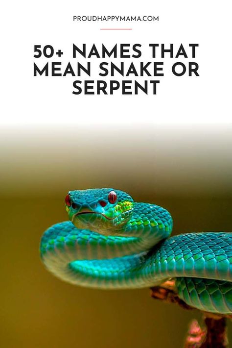 Names Meaning Snake, Names That Mean Snake, Girl Nicknames, Snake Names, Baby Names Meaning, Snake Meaning, List Of Baby Names, Unisex Names, Boy Baby Names