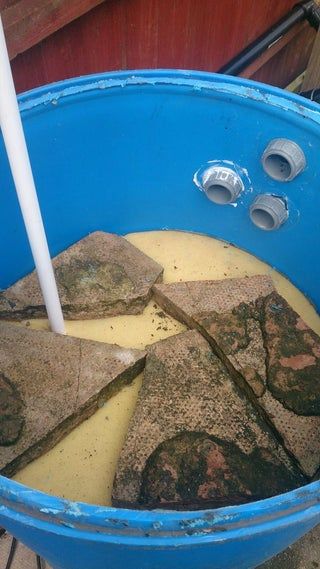 Koi Fish Pond Bio-filter : 8 Steps - Instructables Water Swirl, Pond Fish, Diy Pond, Pond Filters, Koi Fish Pond, Pea Gravel, Water Features In The Garden, Submersible Pump, Fish Pond