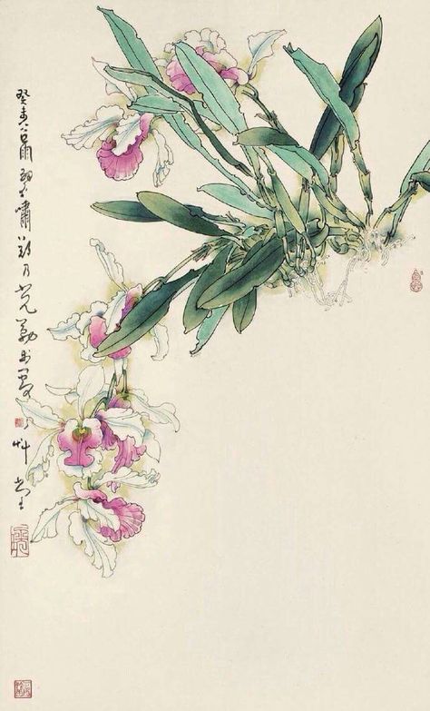 Orchid Drawing, Orchids Painting, Korean Painting, Japan Painting, Chinese Art Painting, Chinese Brush, Watercolor Flowers Paintings, Japanese Painting, Botanical Drawings