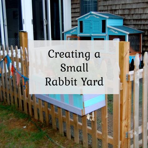 Photo Tour of our Rabbit Yard Outdoor Rabbit Toys, Bunny Outside Play Area, Backyard Bunny Habitat, Rabbit Outdoor Habitat Diy, Pallet Rabbit Enclosure, Large Outdoor Rabbit Enclosure Diy, Rabbit Outdoor Play Area, Rabbitry Setup Ideas Shed, Walk In Rabbit Enclosure