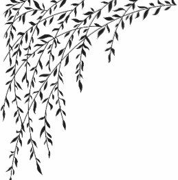 Black & White Weeping Willow Tree Branches Leaves Throw Pillow Willow Leaves Drawing, Willow Tree Leaves Tattoo, Weeping Willow Tree Drawing, Willow Branch Tattoo, Weeping Willow Tree Tattoo, Willow Drawing, Willow Tree Drawing, Willow Tree Design, Weeping Willow Tattoo