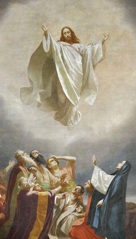 Come Holy Spirit! - “But I tell you the truth, it is better for you that I go. For if I do not go, the Advocate will not come to you. But if I go, I will send him to you.”  John 16:7  The hearts of the Apostles were conflicted.  They were filled with grief, but they were also trying to trust what Jesus said to them. Continue: https://catholic-daily-reflections.com/2018/05/07/come-holy-spirit-2/ Ascension Of Jesus, Spiritual Tattoo, Ascension Day, Image Of Jesus, Istoria Artei, Religious Pictures, Christian Images, Pictures Of Jesus Christ, Ayat Alkitab