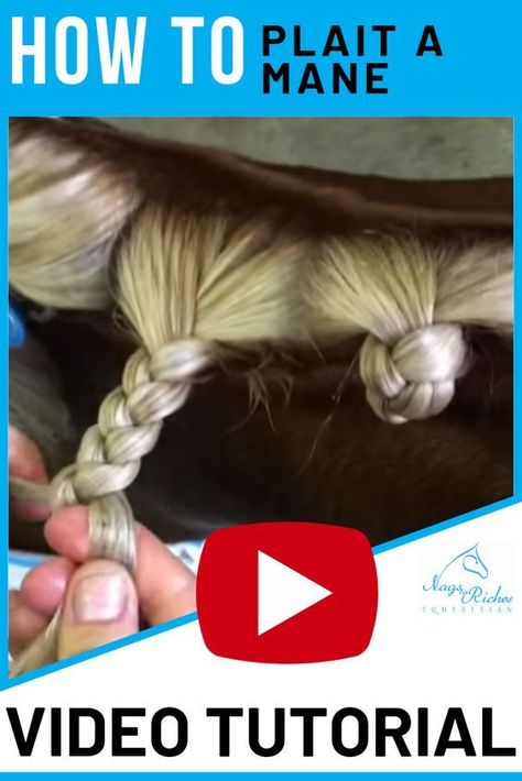 Horse Braids Tutorial, Equestrian Hacks, How To Bun, Equestrian Tips, Mane Braids, Horse Mane Braids, Horse Braids, Horse Hair Braiding, Horse Hacks