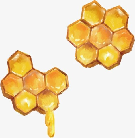 Honeycombs Drawings, Honey Art, Tattoo Health, Natural Form Art, Bee Drawing, Aesthetic Health, Bee Honeycomb, Bee Tattoo, Bee Art