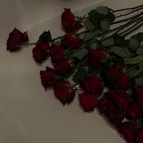 Anna + Core + Aesthetic, Maroon Aesthetic, Rosé Core, Burgundy Aesthetic, Dark Red Roses, Rosé Aesthetic, Ivory Roses, Nothing But Flowers, Dark Feminine Aesthetic