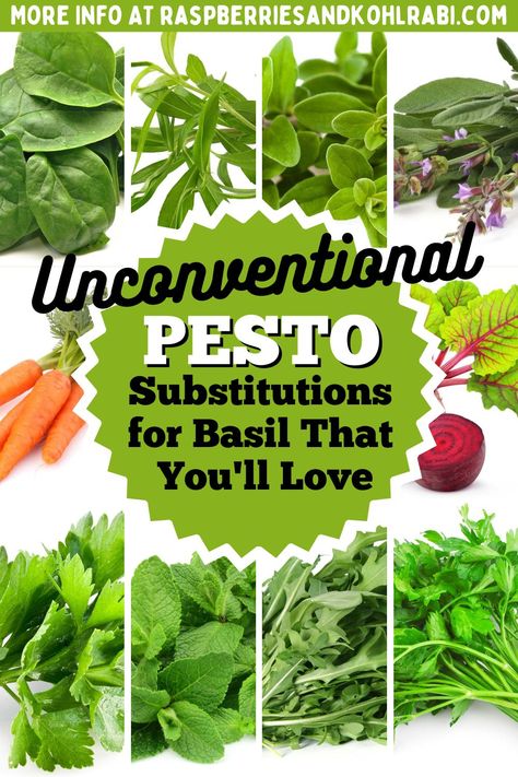 No Basil Pesto, Different Types Of Pesto Recipes, Herb Pesto Recipes, How Do You Make Pesto, Celery Pesto, Hummus And, Parsley Pesto Recipe, Ingredients Substitutions, Souse Recipe