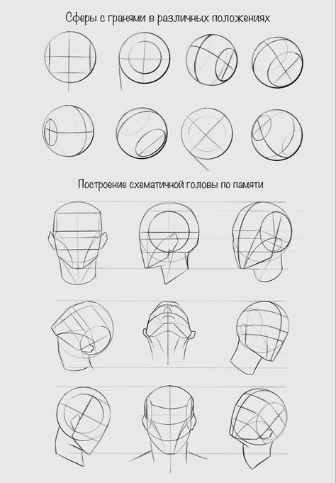 Facial Structure Drawing Reference, Human Face Reference Anatomy, Face Dimensions Drawing, Loomis Method Practice, Facial Proportions Drawing Tutorials, Drawing The Human Head Tutorials, Loomis Head Practice, Realistic Head Drawing Reference, Head Drawing Practice