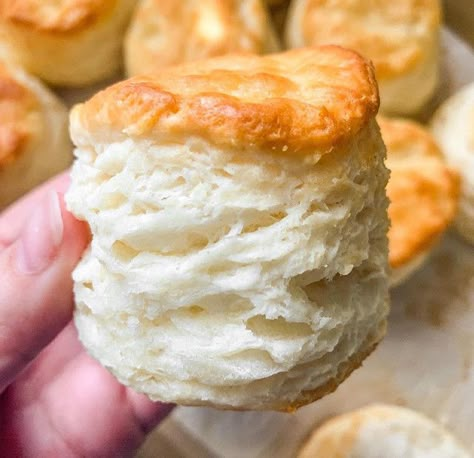 White Lily® Three Ingredient Biscuits - White Lily® Best Biscuit Recipe, Homemade Biscuits Recipe, Easy Biscuit Recipe, Instagram Pro, White Lilly, Biscuit Bread, Biscuit Rolls, Biscuits Easy, Biscuits Recipe