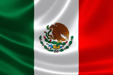 Fun Facts About Mexico, Mexico For Kids, Mexico Wallpaper, Mexican Artwork, Spanish Basics, Mexico Culture, Mexican Flags, Mexico Flag, World Flags