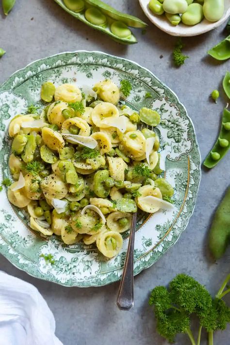 Broad Bean Pasta (Pasta e Fave) | Heartful Table Sauerkraut Pasta, Easy Sauerkraut, Broad Bean Recipes, Bean Pasta Recipes, Fennel Pasta, Beans Vegetable, Spring Dishes, Broad Beans, Bean Pasta