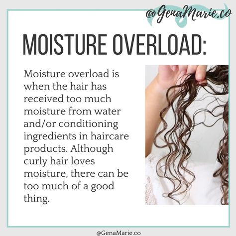 Have you experienced this? Comment VIDEO to watch how to fix it and for the protein-rich products I used. 🌀What is moisture overload? When the hair has received too much moisture from water and/or conditioning ingredients in haircare products. Although curly hair loves moisture, there can be too much of a good thing. 🌀Signs of moisture overload: ∙ Hair is limp, weighed down, and not bouncing up ∙ Hair feels mushy or gummy ∙ Hair feels damp and won’t dry all the way ∙ Hair is overly soft, fl... Fix It, All The Way, Too Much, Curly Hair, Curly Hair Styles, Hair Care, Moisturizer, Conditioner, The Way