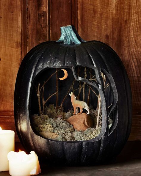 Fun Pumpkin Carving Ideas, Craft Pumpkin Carving, Fun Pumpkin Carving, Easy Pumpkin Carving Ideas, Pumpkin Diorama, Spooky Crafts, Halloween Skeleton Decorations, Creative Pumpkin Carving, Easy Pumpkin Carving