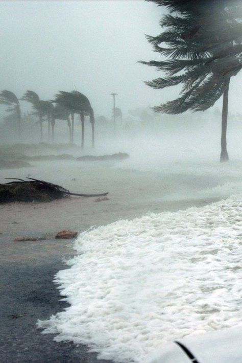 Flood Aesthetic, Floods Pictures, Nature Disaster, Natural Disasters Art, Storm Picture, Beach Storm, Storm Photos, Florida Storm, Weather Activities For Kids