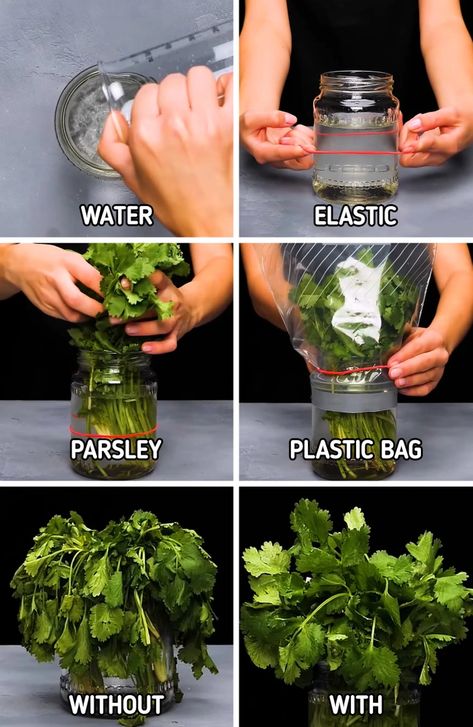 How to Preserve Food / 5-Minute Crafts How To Store Ginger, Emergency Preparedness Items, Kitchen Decor Hacks, Refrigerator Ideas, Healthy Fridge, Kitchen Hacks Food, Prevent Food Waste, Budget Freezer Meals, Preserve Food