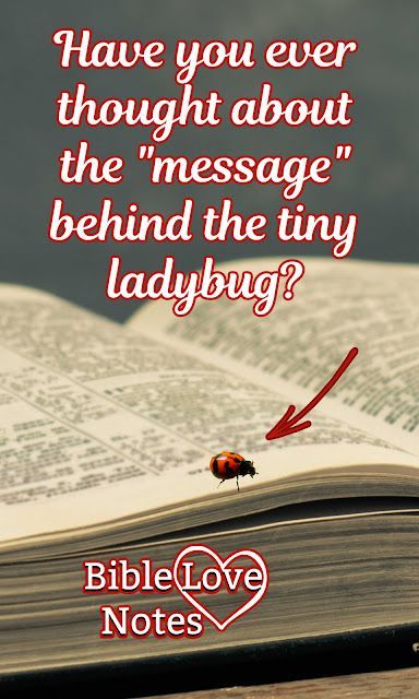 Ladies Ministry Ideas Activities, Ladies Ministry Ideas, Short Devotions, Bible Meaning, The Books Of The Bible, Bible Love Notes, Book Of The Bible, Hug Quotes, Bible Study Books