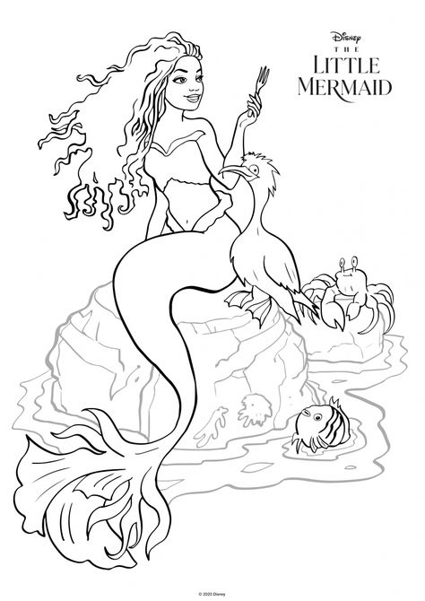 The Little Mermaid movie 2023 coloring pages with Ariel Halle Bailey - YouLoveIt.com Drawing Ariel, Descendants Coloring Pages, Little Mermaid Coloring Pages, Halle Bailey Little Mermaid, Ariel Color, Ariel Coloring Pages, Mermaid Sketch, Little Mermaid Live Action, Mermaid Movies