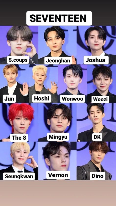 Got 7 Members Names, Svt Members Name, Svt Members With Names, Seventeen Names And Faces, Seventeen With Names, Kpop Members Names, Seventeen All Members, Seventeen Group Photo With Names, Seventeen Names