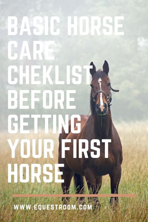 Are you ready for your first horse? Getting a new horse is always an exciting time! It would bring you a lot of happiness, as well as responsibility. Make sure you are ready for your first horse before you make a final decision. Here is a checklist for you, so you can make sure everything is ready to welcome your new friend! You have to understand the basics of feeding the horse. Each horse is different and accordingly has different needs. The amount of feed your horse needs will depend on m Senior Horse Care, Horse Ownership, Horseback Riding Tips, Buy A Horse, First Horse, Winter Horse, Horse Care Tips, Horse Facts, Horse Riding Tips