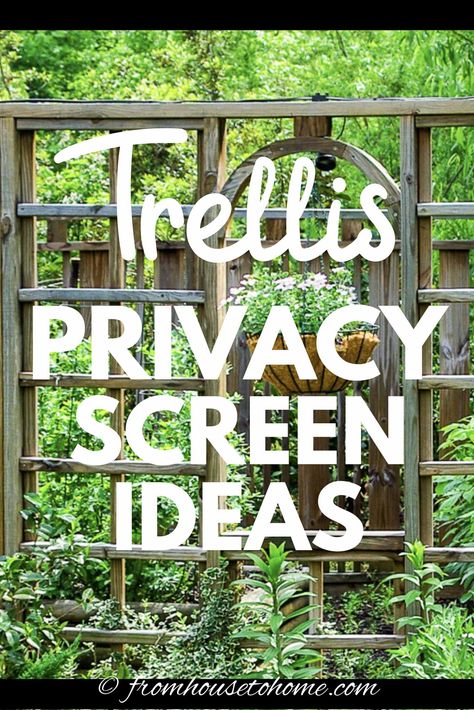 I love these backyard privacy ideas. Great ideas for pergolas, trellises, and privacy screens that will help to keep the neighbors from seeing into your yard. #fromhousetohome #privacy #backyard #gardening Backyard Privacy Ideas, Trellis Privacy, Lattice Privacy Screen, Privacy Trellis, Patio Trellis, Clematis Trellis, Yard Privacy, Privacy Ideas, Trellis Fence