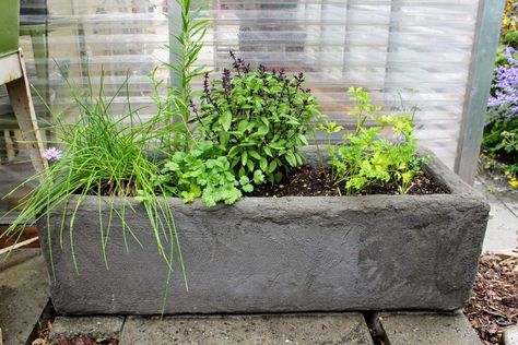 I love anything that has an “old-world” look, and I’ve always admired the ancient-looking concrete water troughs that I’ve seen around Europe. Many of them have been converted into garden art or planters that grace the gardens and town squares of quaint villages.But, around here, concrete troughs usually have three significant disadvantages: They are hard to find, they’re expensive, and they are very heavy.So today, I’m sharing how I recently made my very own “old-world,” lightweight(i… Diy Concrete Trough, Diy Trough Planter, Gravel Courtyard, Shade Containers, Diy Upholstery Cleaner, Concrete Trough, How To Lay Pavers, Stone Trough, Resurrection Garden