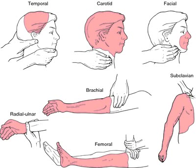 pressure points: a point of extreme sensitivity to pressure. Trening Sztuk Walki, Self Defense Tips, Self Defense Techniques, Martial Arts Techniques, Survival Life Hacks, Ju Jitsu, Martial Arts Workout, Survival Techniques, Self Defence