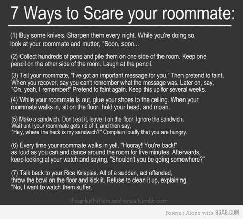 this would have been perfect for @Megan Cavanaugh last year, right @Stephany Haberstroh and @Hayley Anderson? Roommate Pranks, Easy French Twist, Funny P, To Infinity And Beyond, Laughter Is The Best Medicine, Funny Pranks, Laughing So Hard, Laugh Out Loud, Just For Laughs