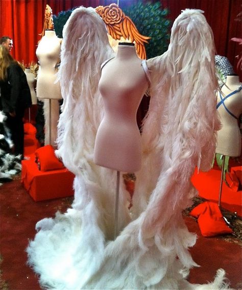 Beautiful Ostrich Feathers from The Feather Place Los Angeles & The Feather Place NYC on these VS Wings! That's right, @thefeatherplace source's these beauties every year for the VS Runway Show! #thefeatherplace #VSAngelWings Vs Wings, Victoria Secret Wings, Victoria Secret Angel Wings, Costume Wings, Vs Fashion Show, Angel Costume, Fairytale Fashion, Vs Fashion Shows, Victoria's Secret Angels