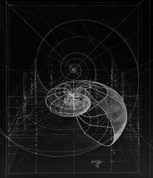 FRITJOF CAPRA ON SCIENCE AND SPIRITUALITY Robert Boyle, Logarithmic Spiral, Spirals In Nature, Mathematics Geometry, Golden Spiral, Sacred Geometry Symbols, Geometric Nature, Fibonacci Sequence, Fibonacci Spiral