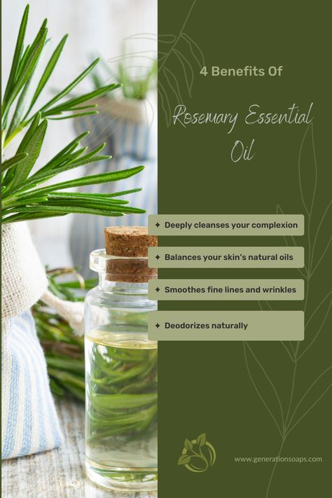 It has only been in recent years that this refreshing essential oil has been found to have wonderful benefits in natural skin care. Rosemary essential oil has powerful antioxidants, astringent and antibacterial properties, which makes is wonderful for help with a wide variety of “angry-skin” conditions. #healthyskinbeautifulskin #naturalskincare #naturalingredients #botanicalskincare #healthyskin #herbalskincare #skincare #naturalingredients #exfoliate #skincareoils #rosemaryessentialoil Rosemary For Skin, Rosemary Benefits, Benefits Of Rosemary Oil, Benefits Of Rosemary, Diy Soda, Benefits Of Ginger, Medicinal Herbs Garden, Herbal Skin Care, Rosemary Essential Oil