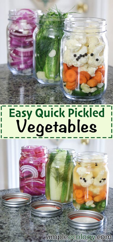 Easy Quick Pickled Vegetables — Simple Ecology How To Pickel Beats, Quick Pickled Veggies For Bahn Mi, Pickled Veggies Recipe Jars, Quick Pickle Recipes Simple, Simple Pickle Recipe, Bahn Mi Pickled Vegetables, Japanese Pickled Vegetables, Simple Pickles, Spicy Pickled Vegetables Recipe