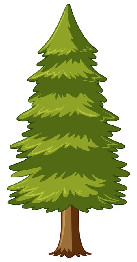 Download the Pine tree on white background 559258 royalty-free Vector from Vecteezy for your project and explore over a million other vectors, icons and clipart graphics! Black Pine Tree, Pine Tree Drawing, Pine Tree Painting, Tree Photoshop, Pine Tree Silhouette, Tree Outline, White Pine Tree, Cartoon Trees, Tree Textures