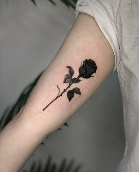 Back Of The Shoulder Tattoos For Women, Black Roses Tattoo, Thorn Tattoo Design, Rose Silhouette Tattoo, Small Black Rose Tattoo, Black Rose On Hand Tattoo, Blacked Out Rose Tattoo, Black Rose Tattoo Coverup, Black Long Stem Rose Tattoo