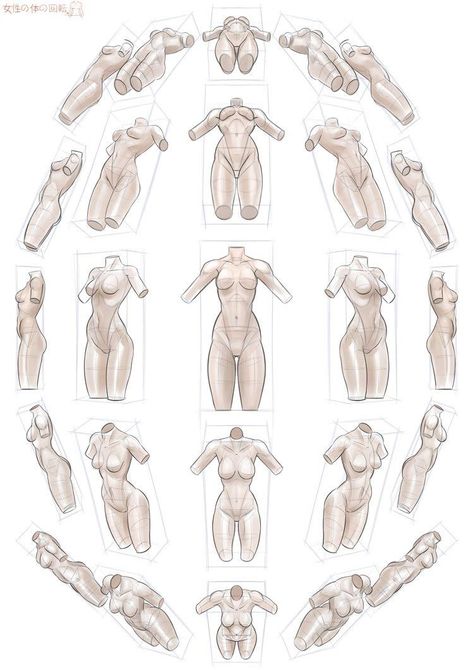 Torso Perspective Reference, Anatomy Poses Perspective, Different Body Perspectives, Drawing Body Poses Perspective, Body Perspective Reference From Below, Woman Perspective Pose Drawing, Torso In Perspective, Nyphms Drawing, Anime Torso Reference