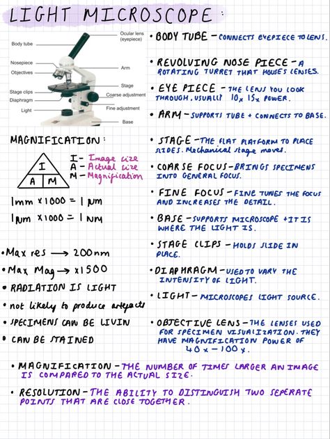 Revision notes for biology A level year one! I have lots more notes on here! Go check them out:) Revision Notes Biology Alevel, Biology 2 Notes, A Level Biology Cell Structure Notes, Microscope Notes Biology, Biology Revision Gcse Cells, As Level Biology Notes, Alevel Bio Notes, Btec Applied Science Level 3, Microbiology Study Note