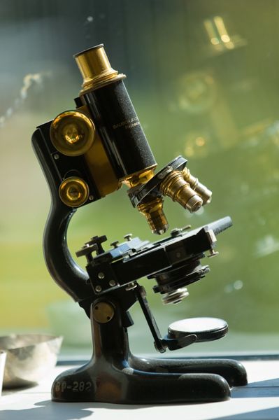 Microscope Person Using Microscope, Vintage Microscope, Optical Microscope, Microscopes, Laboratory Design, Magnifying Lens, Lab Equipment, Telescopes, Microbiology