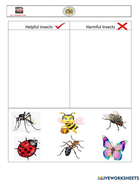 Insect Body Parts, Insect Identification, April Ideas, Harmful Insects, Animal Worksheets, The Worksheet, Beneficial Insects, Bugs And Insects, School Subjects