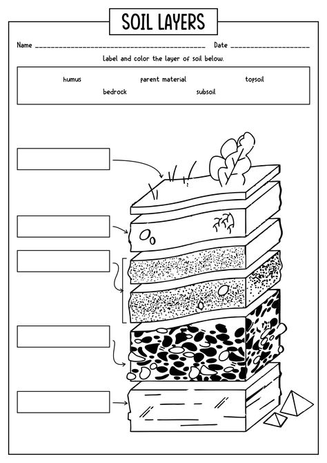 Earth Science 2nd Grade, Soil Layers Worksheet, Soils In The Environment Grade 3, Soil Formation 3rd Grade, Layers Of Soil Worksheet, 3rd Grade Geography Worksheets, Fossil Lessons 3rd Grade, Science For 3rd Grade, Soil Layers For Kids